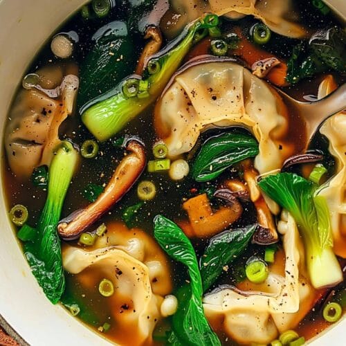 Potsticker Soup