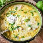 Green Chicken Enchilada Soup