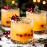 Holly Jolly Christmas Citrus Cocktail