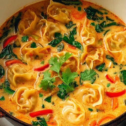 Red Curry Pot Sticker Soup
