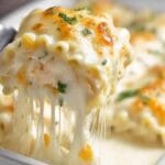 Chicken Alfredo Lasagna Roll Ups
