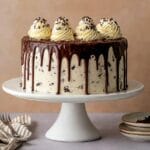Chocolate Chip Cake with Ganache Drip