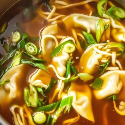 Gyoza Soup