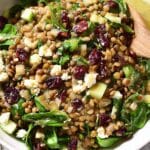 Lentil and Cranberry Salad