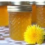 Dandelion Jelly