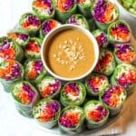 Vegetable Spring Rolls with Peanut Sauce