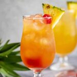 Bay Breeze Cocktail (1)