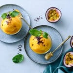 Mango Passion Fruit Sorbet