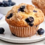 blueberry muffin recipe