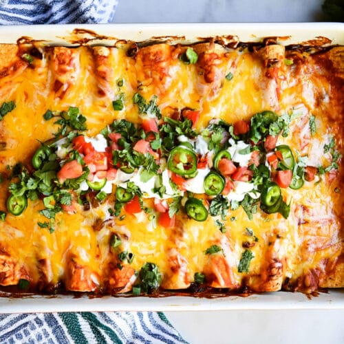 chicken enchilada recipe