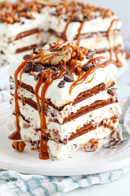 Turtle Ice Cream Sandwich Cake