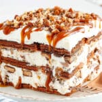 Turtle Ice Cream Sandwich Cake